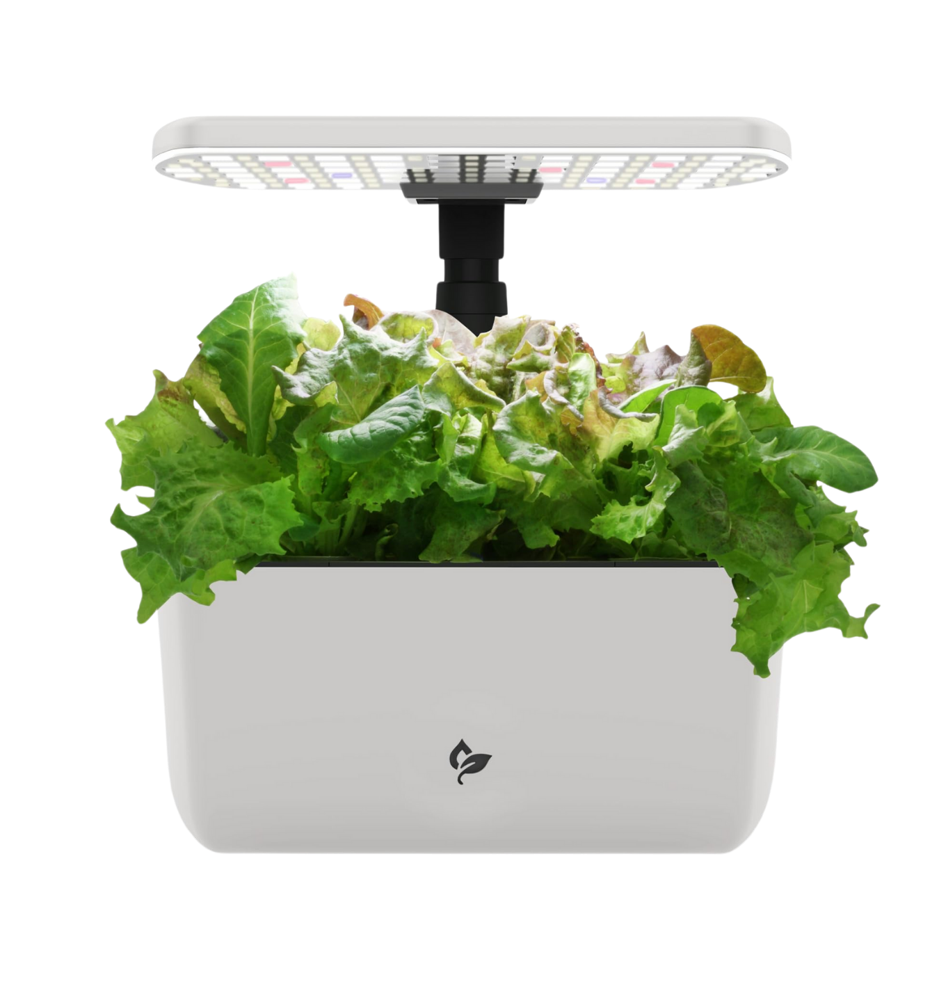 Aero Garden provided by Comoto